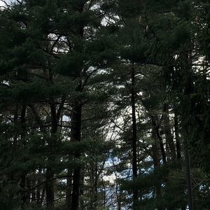 Meet your Posher, Henry